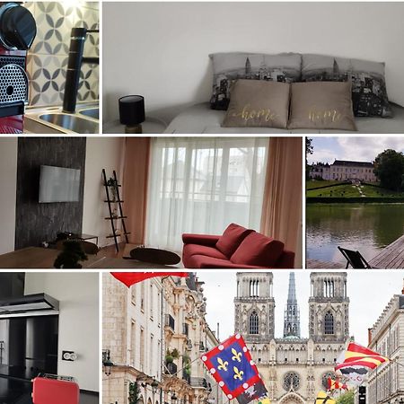L'Escale Orleanaise Apartment Bagian luar foto